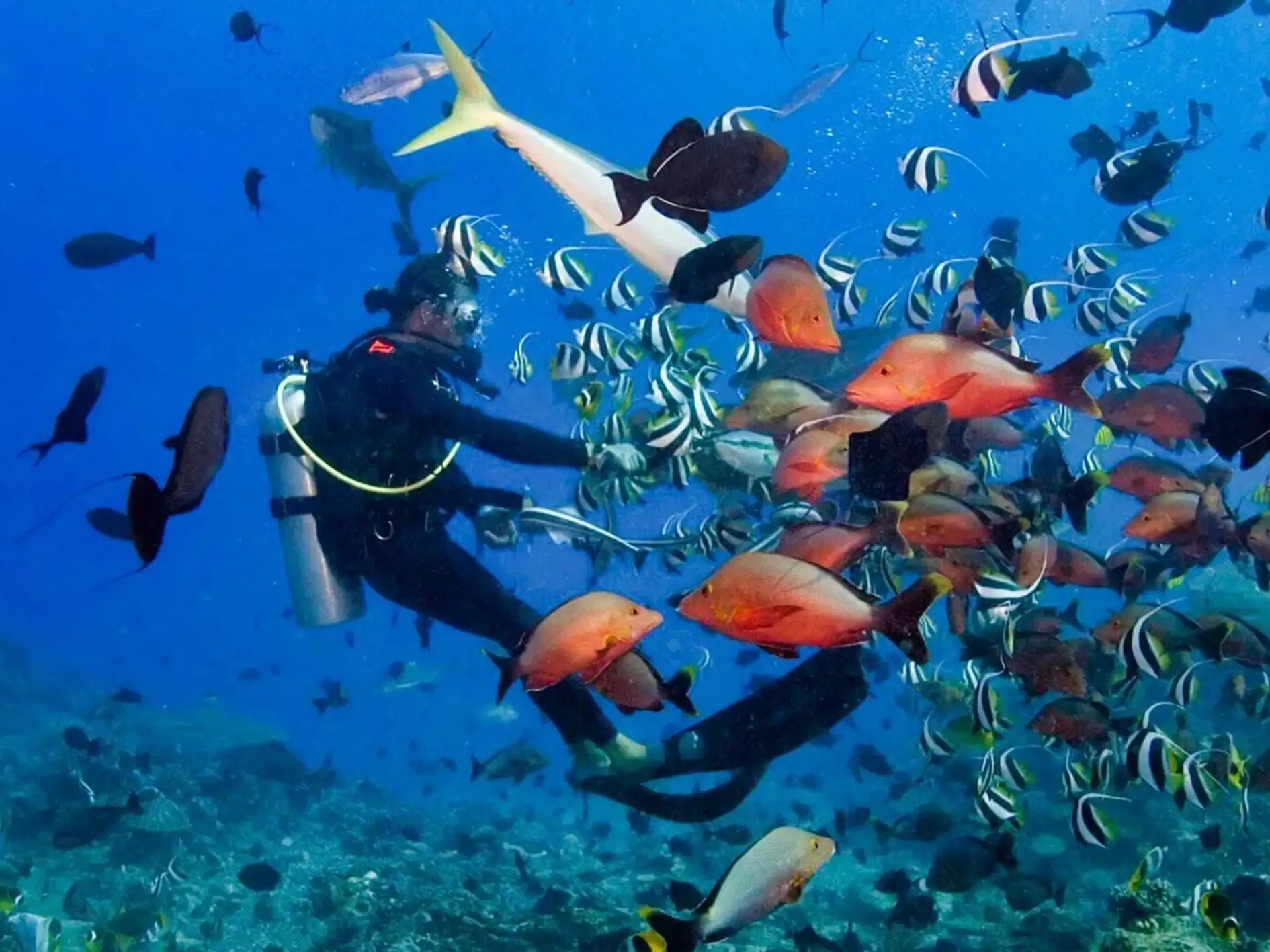 Nusa Penida 04