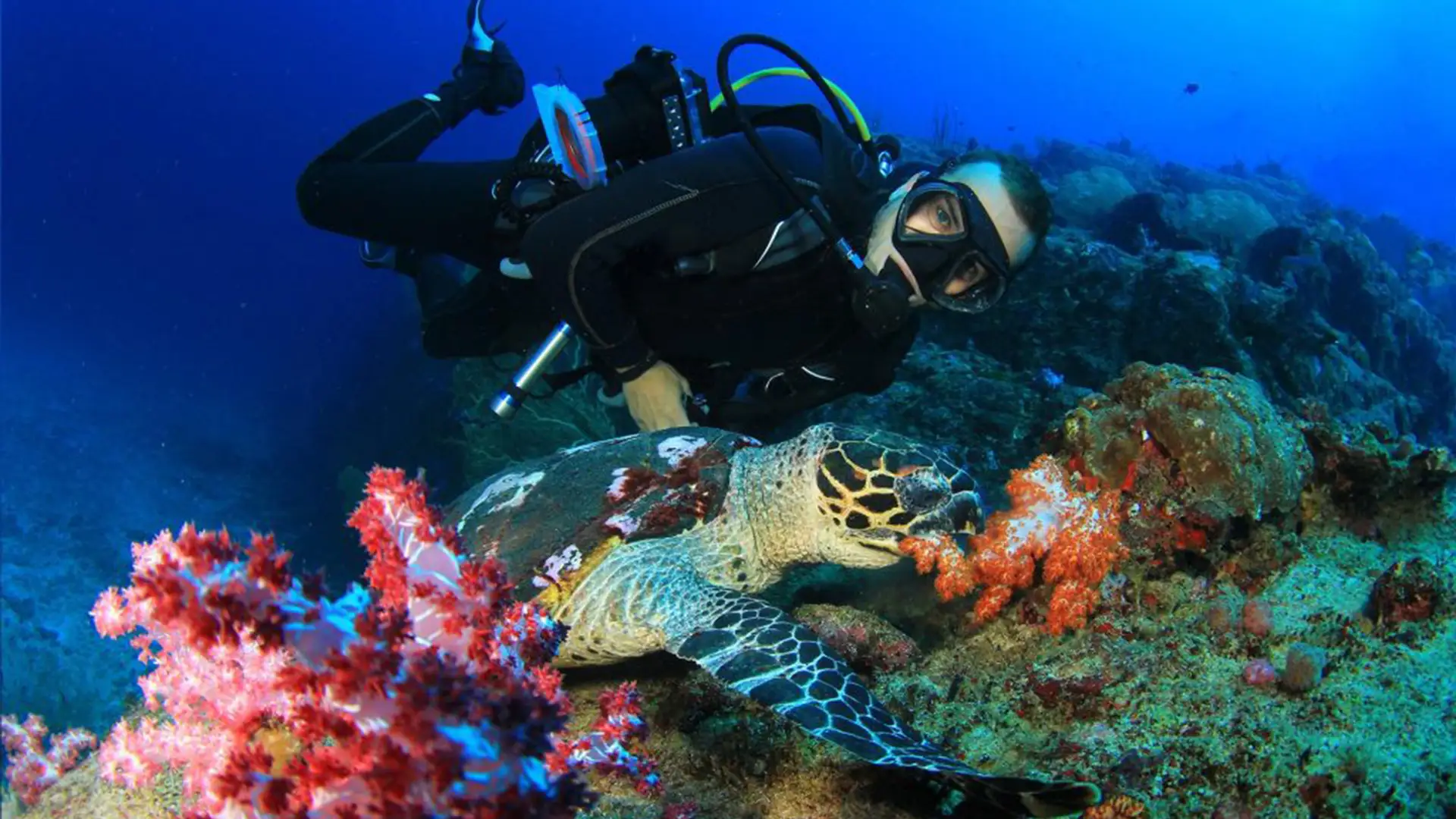 Padang Bay D